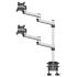 Dual Monitor Desk Mount for Apple Top Down Quick Release