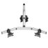 Dual Monitor Desk Mount for Apple w/ 2-in-1 Base & Dual Arm