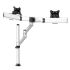 Dual Track Rail Mount for Apple Display Quick Release w/ Dual Arm