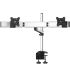 Dual Monitor Stand Oval or Straight w/ Quick Release Single Arm