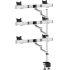 6 Monitor Stand Oval or Straight Quick Release Dual Extension Arm