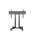 37 to 56" Touch Screen Stand - Mobile & Adjustable