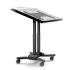 37 to 56” Touch Screen Stand - Mobile & Adjustable