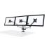 Triple Monitor Desk Mount w/ Spring Arms Silver