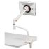 iPad & Tablet Mount for Desk Clamp w/ Articulating Arms
