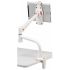 iPad & Tablet Mount for Desk Clamp w/ Articulating Arms