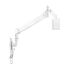 Monitor Arm - Long Reach MW-M125PN